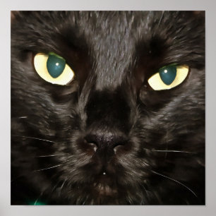 Black Cat Gorgeous Artistic Pet Portrait Poster
