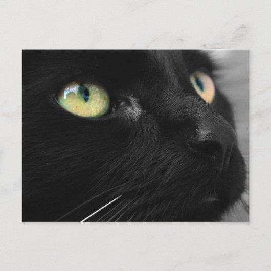 Black Cat Green Eyes Postcard Postkarte (Vorderseite)