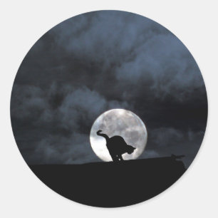Black Cat Halloween Stickers