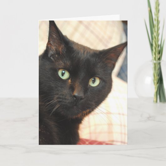 Black Cat Happy Birthday Card Karte (Vorderseite)