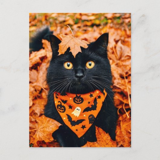 Black Cat Happy Halloween Postcard Postkarte (Vorderseite)