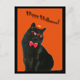 Black Cat Happy Halloween Postkarte