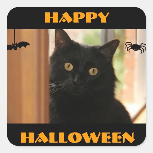 Black Cat Happy Halloween Stickers (Vorderseite)