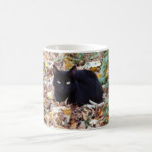 Black Cat Herbst Foto Klassische weiße Tasse (Mittel)