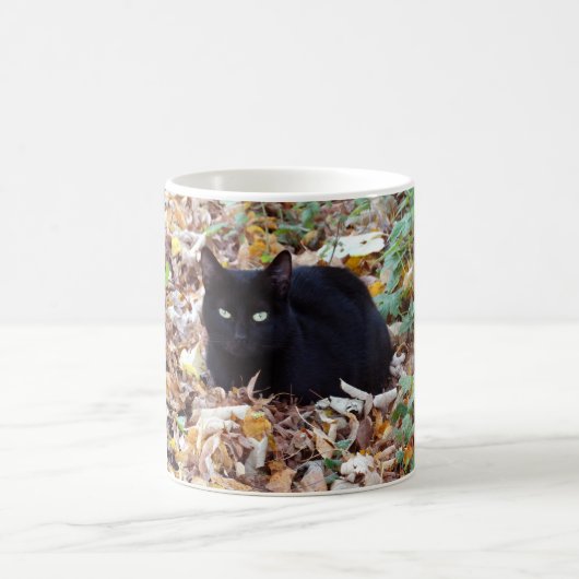 Black Cat Herbst Foto Klassische weiße Tasse (Mittel)