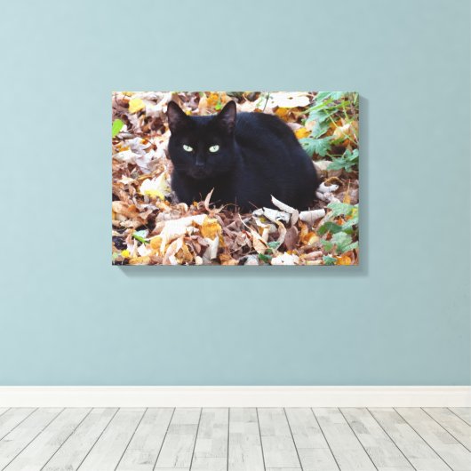 Black Cat Herbst Foto Single Leinwanddruck (Insitu (Holzboden))
