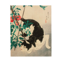 Black Cat Hissing 20. Jahrhundert