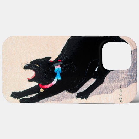 Black Cat Hissing Fine Art von Hiroaki Takahashi Case-Mate iPhone Hülle (Rückseite (Horizontal))