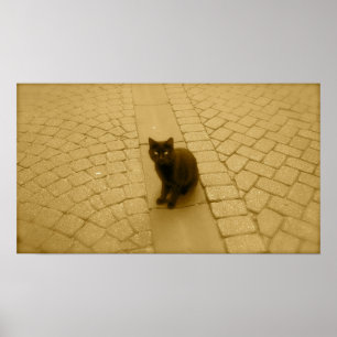 Black Cat In Sepia Poster