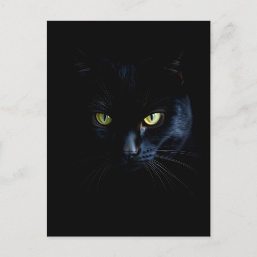 Black Cat in the black Night Postkarte (Vorderseite)