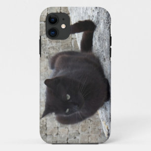 Black Cat iPhone 5 Ehegatte Case-Mate iPhone Hülle