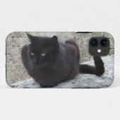 Black Cat iPhone 5 Ehegatte Case-Mate iPhone Hülle (Rückseite (Horizontal))