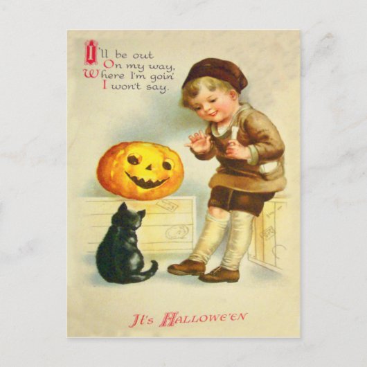 Black Cat Jack O Lanter Pumpkin Girl Postkarte (Vorderseite)