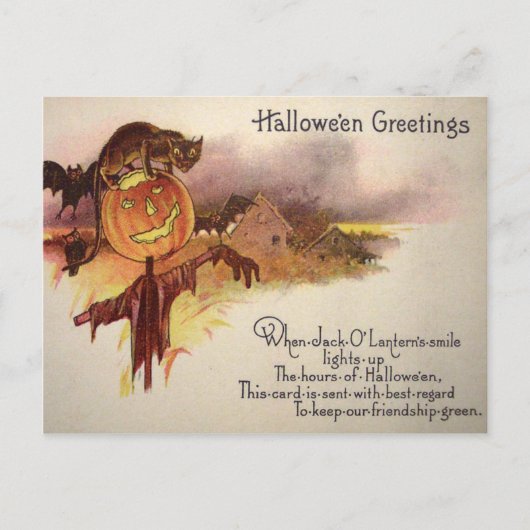 Black Cat Jack O' Lantern Pumpkin Becken Owl Postkarte (Vorderseite)