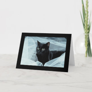 Black Cat Jeder Anlass Card Karte