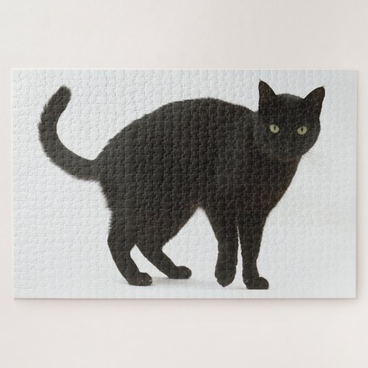 Black Cat Jigsaw Puzzle (Horizontal)