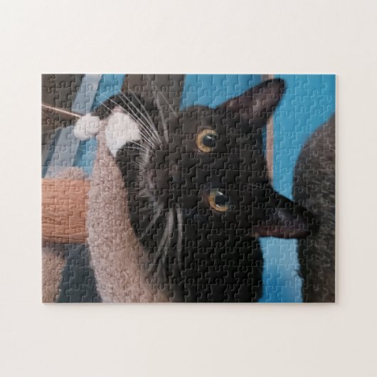 Black Cat Jigsaw Puzzle (Horizontal)