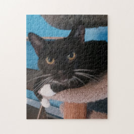 Black Cat Jigsaw Puzzle