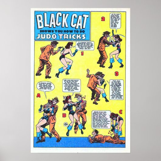 Black Cat Judo Tricks Poster (Vorne)