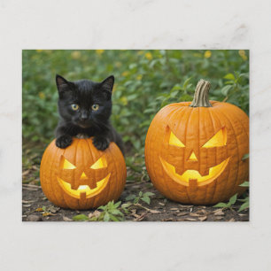 Black Cat Kitten mit Kürbislaternen Halloween Feiertagspostkarte