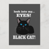 Black Cat Kitty Animal Lover Black Cat Postkarte (Vorderseite)