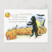 Black Cat Leading Jack O' Lantern Halloween Chor Postkarte (Vorderseite)