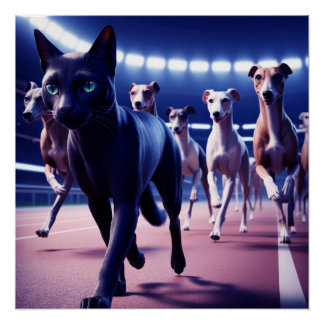 Black Cat Leading Pack of Hunde at Dog Track Poster