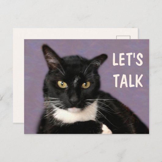 Black Cat Let's Talk Postkarte (Vorne/Hinten)