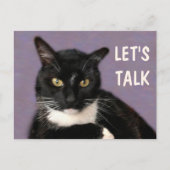 Black Cat Let's Talk Postkarte (Vorderseite)