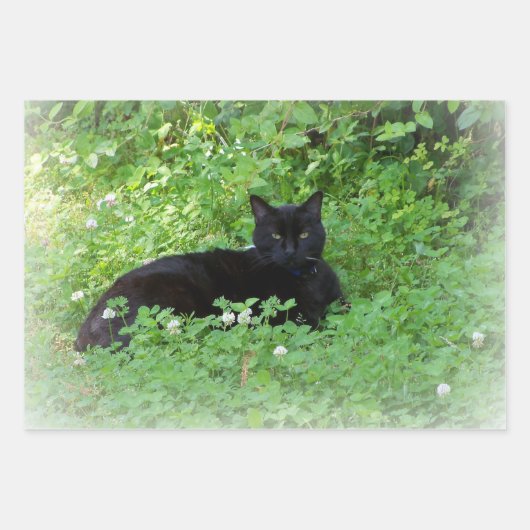 Black Cat Lovers Gift oder Handwerk Geschenkpapier Set (Vorderseite)