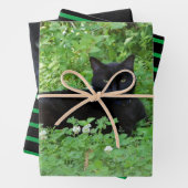 Black Cat Lovers Gift oder Handwerk Geschenkpapier Set (Beispiel)