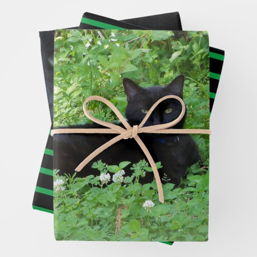 Black Cat Lovers Gift oder Handwerk Geschenkpapier Set (Beispiel)