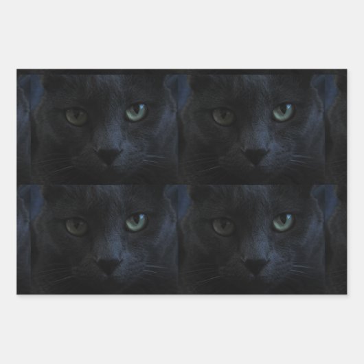 Black Cat Lovers Gift oder Handwerk Geschenkpapier Set (Vorderseite 3)