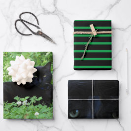 Black Cat Lovers Gift oder Handwerk Geschenkpapier Set