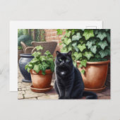 Black Cat Lovers Postkarte (Vorne/Hinten)