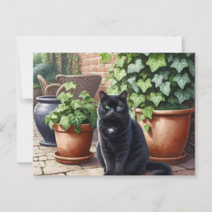 Black Cat Lovers Postkarte