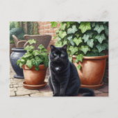 Black Cat Lovers Postkarte (Vorderseite)