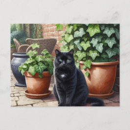 Black Cat Lovers Postkarte