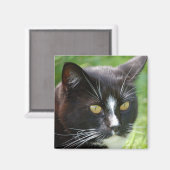 Black Cat Magnet (Vorderseite/Rückseite)