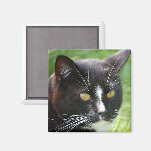 Black Cat Magnet (Vorderseite/Rückseite)