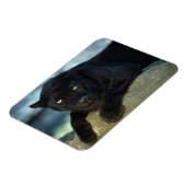 Black Cat Magnet (Linke Seite)