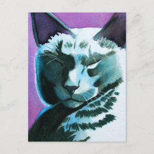 Black Cat Marina Regal Postkarte