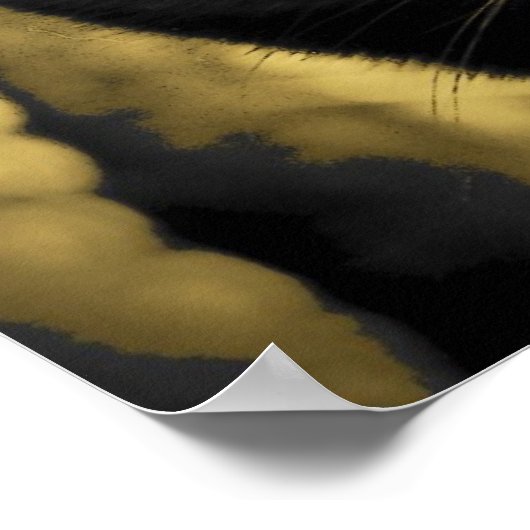 Black Cat Meme mit irischem Sprichwort Poster (Ecke)