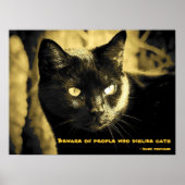 Black Cat Meme mit irischem Sprichwort Poster (Vorne)