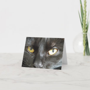 Black Cat Note Card Karte
