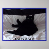 Black Cat "Obsidian Poster" Poster (Vorne)