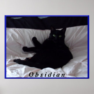 Black Cat "Obsidian Poster" Poster