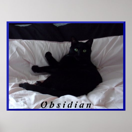 Black Cat "Obsidian Poster" Poster (Vorne)