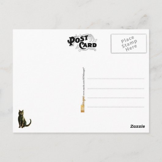 Black Cat on a Pumpkin Postkarte (Rückseite)