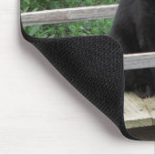 Black Cat on Bridge Mousepad (Ecke)